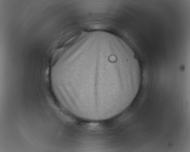 X0000116590406200912312040