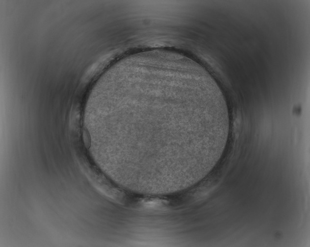 X0000116590407200912312040