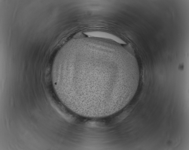 X0000116590408200912312040