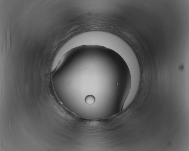 X0000116590409200912312040