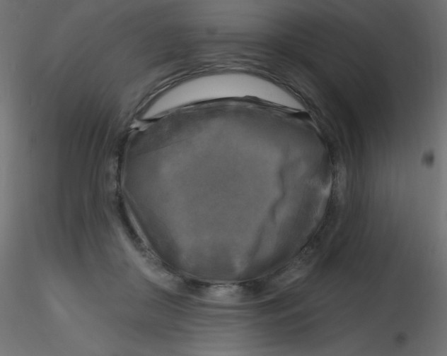 X0000116590410200912312040