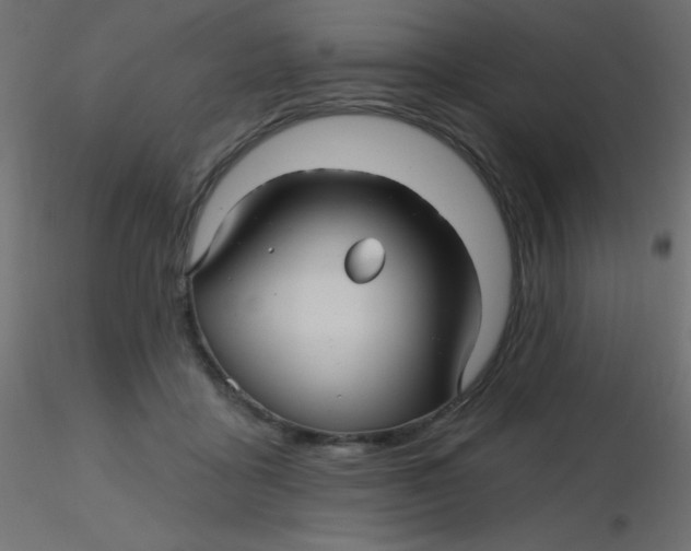 X0000116590411200912312040