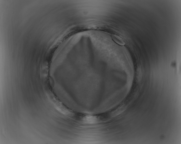 X0000116590413200912312040