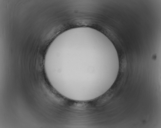 X0000116590414200912312040