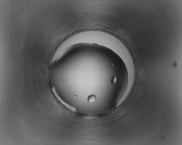 X0000116590415200912312040