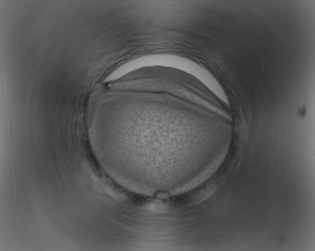 X0000116590416200912312040