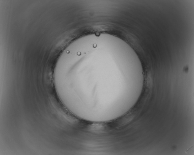 X0000116590418200912312040