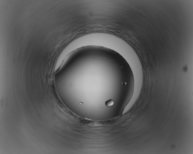 X0000116590419200912312040