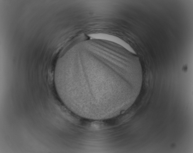 X0000116590420200912312040