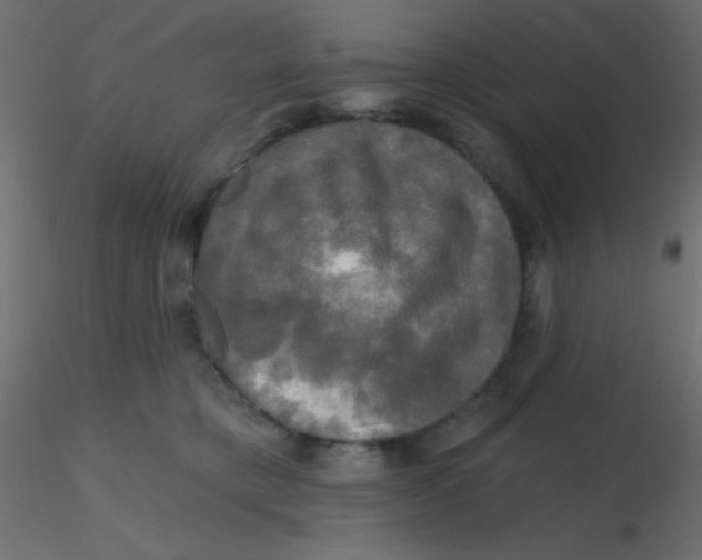 X0000116590421200912312040