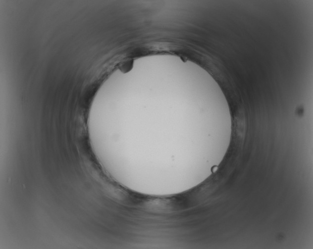 X0000116590422200912312040