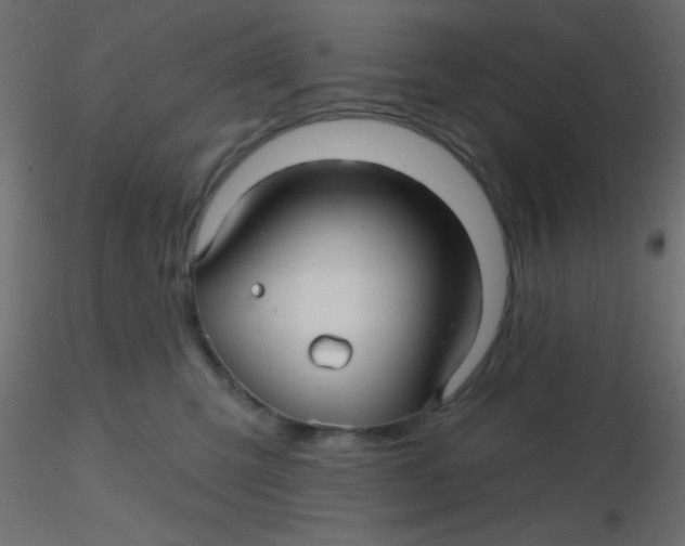 X0000116590423200912312040