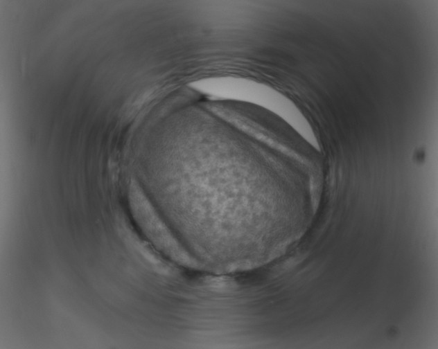 X0000116590424200912312040