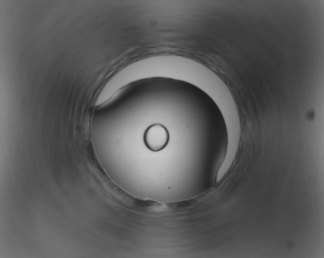 X0000116590425200912312040