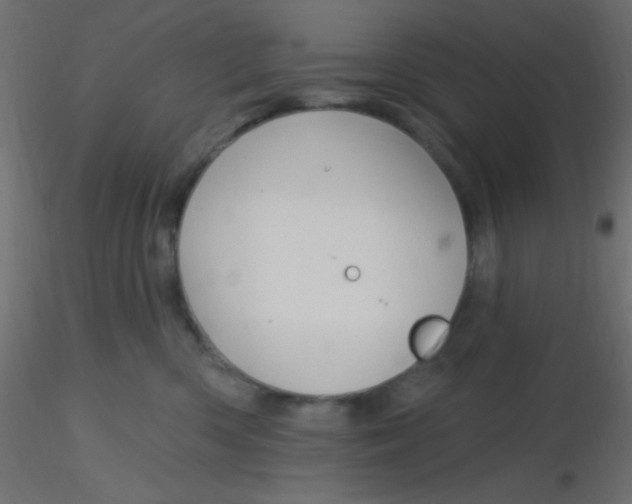 X0000116590426200912312040