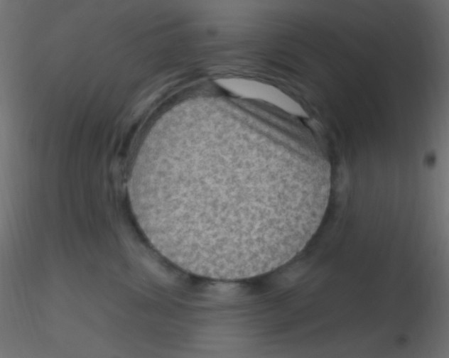 X0000116590428200912312040