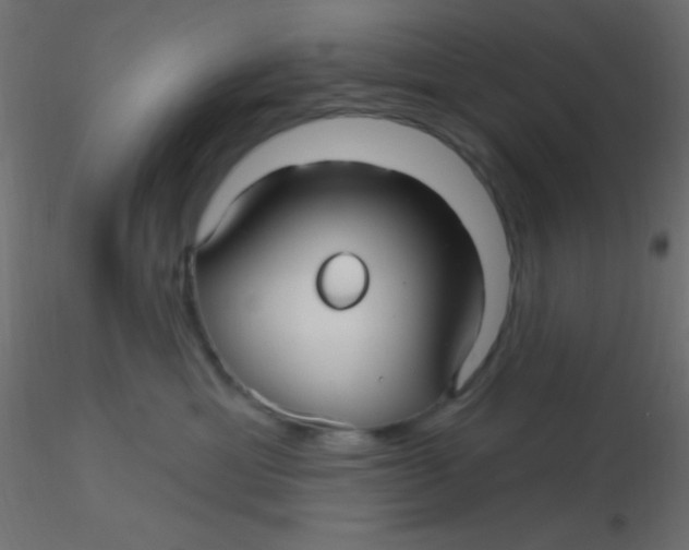 X0000116590429200912312040