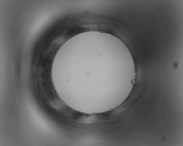 X0000116590430200912312040