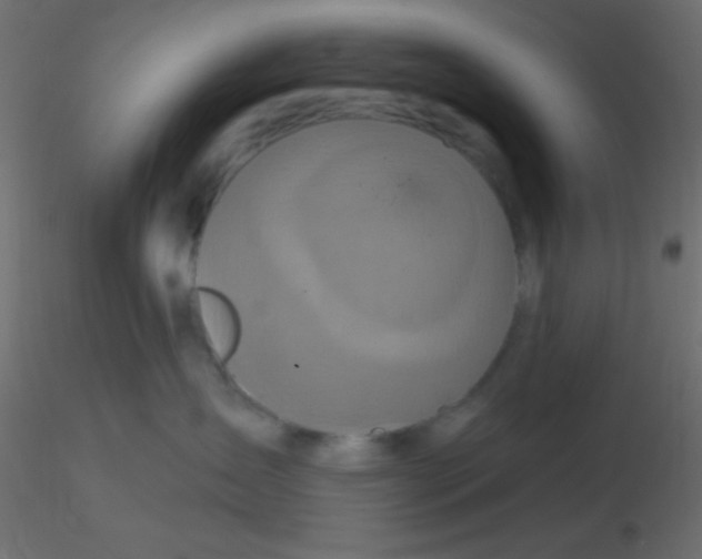 X0000116590431200912312040