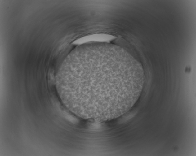 X0000116590432200912312040