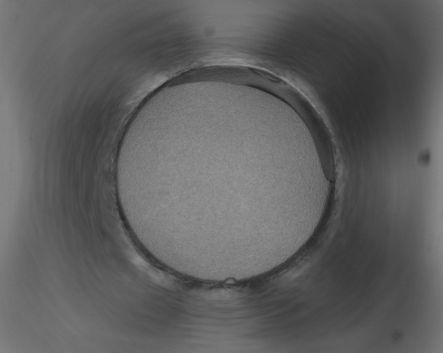 X0000116590433200912312039