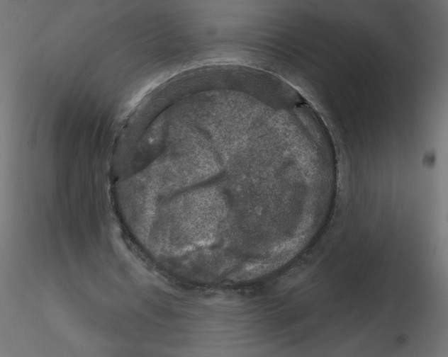 X0000116590434200912312039