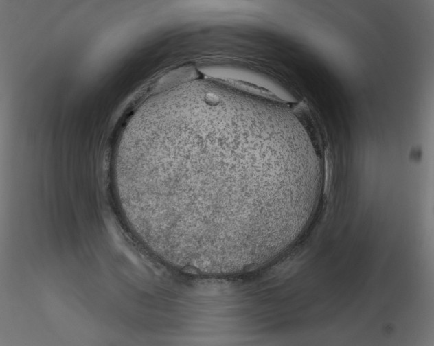 X0000116590435200912312039