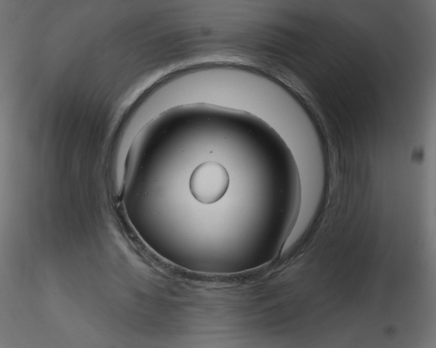 X0000116590436200912312039