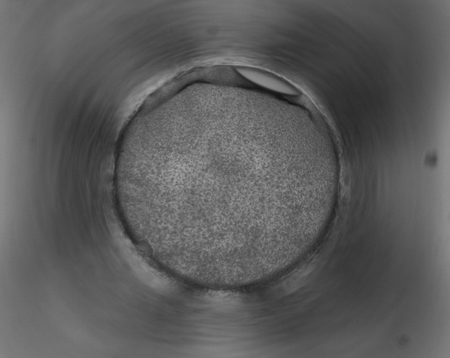 X0000116590437200912312039