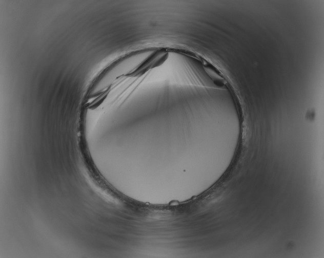 X0000116590438200912312039