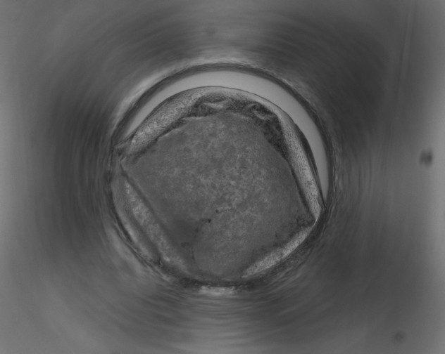 X0000116590440200912312039