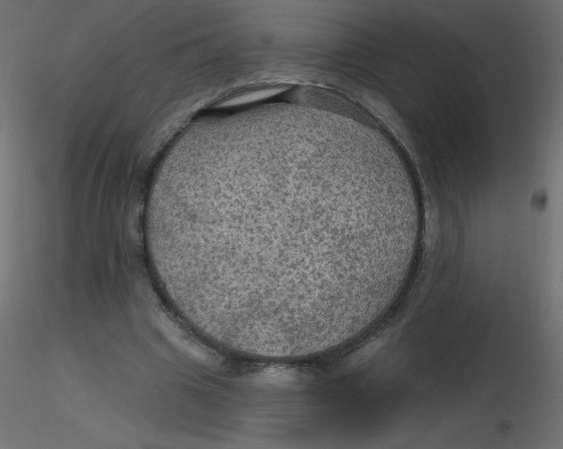 X0000116590441200912312039