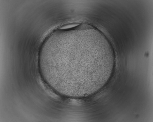 X0000116590442200912312039