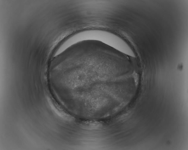 X0000116590443200912312039