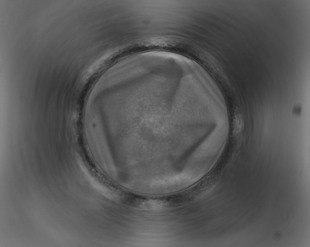 X0000116590444200912312039