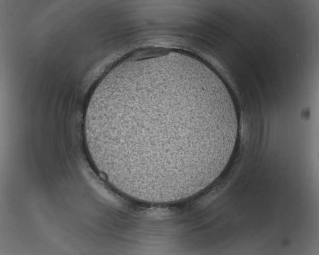 X0000116590445200912312039