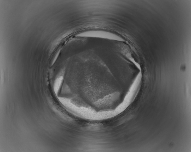 X0000116590446200912312039