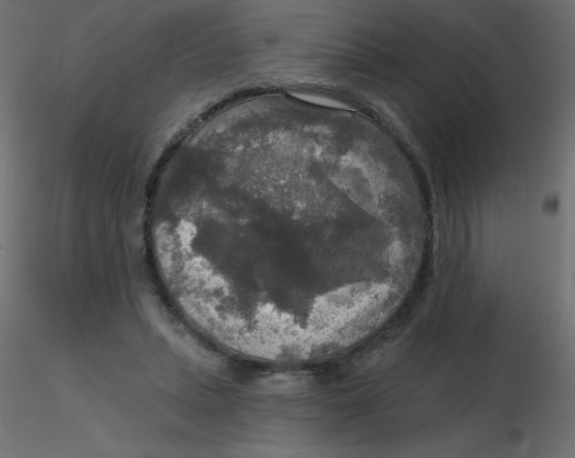 X0000116590447200912312039