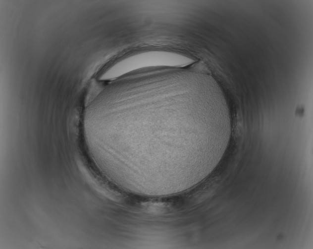 X0000116590448200912312039