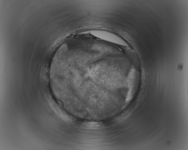 X0000116590449200912312039