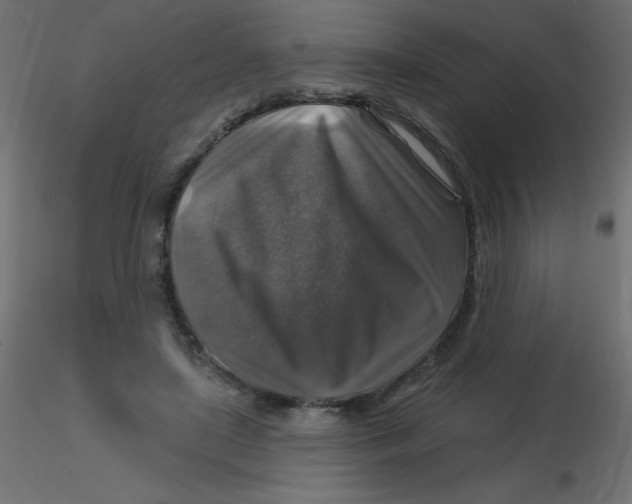 X0000116590451200912312039