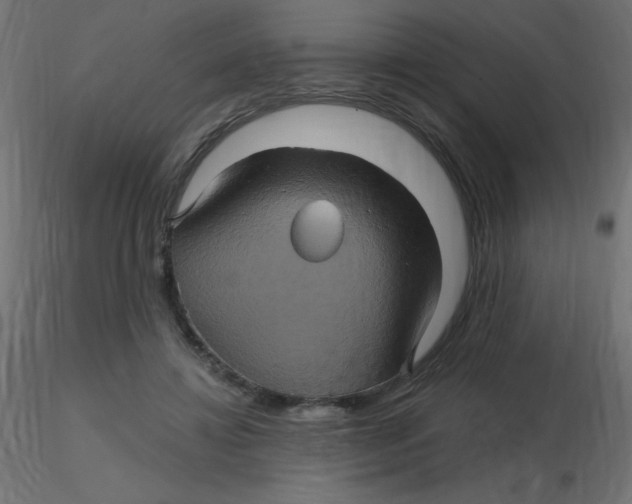 X0000116590452200912312039