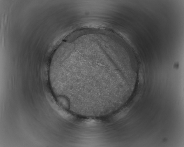 X0000116590453200912312039