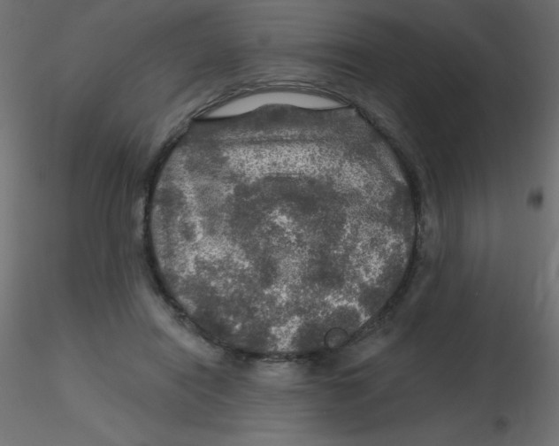 X0000116590454200912312039