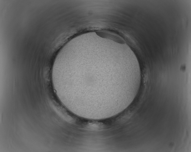 X0000116590455200912312039