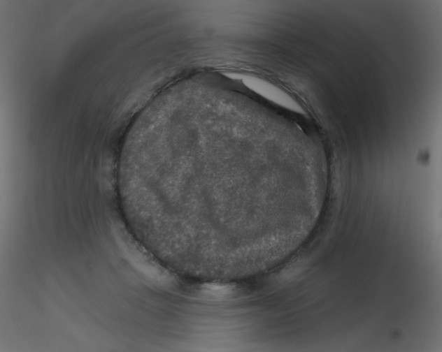 X0000116590457200912312039