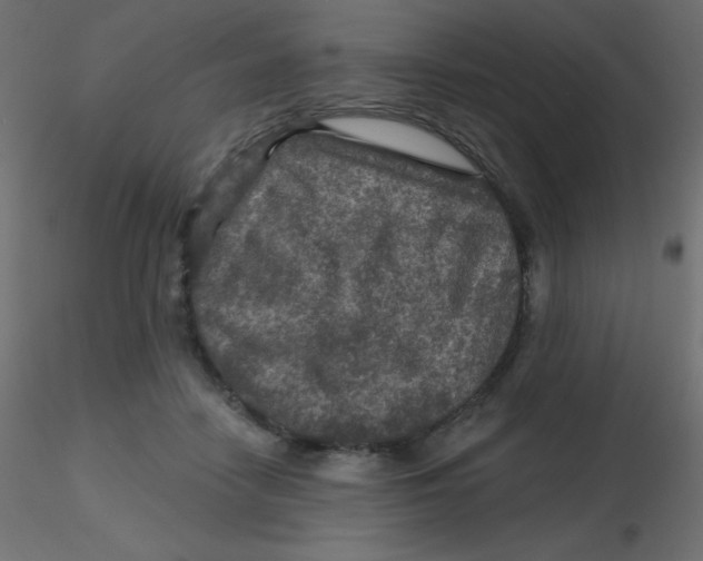 X0000116590458200912312039