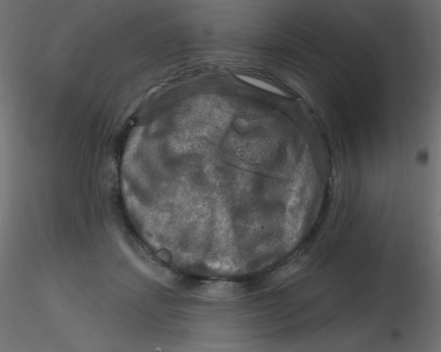 X0000116590459200912312039