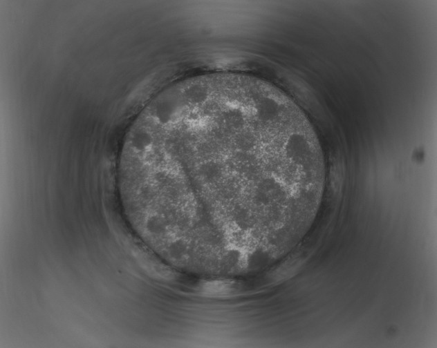 X0000116590461200912312039