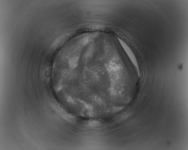 X0000116590462200912312040